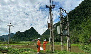 Công nhân Điện lực thực hiện kiểm tra công tơ. Ảnh: NPC