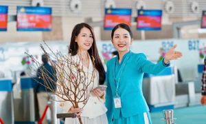 Vietnam Airlines nhận chuyên chở cành đào, cành mai dưới dạng hành lý ký gửi trên các chuyến bay nội địa. Ảnh: BN