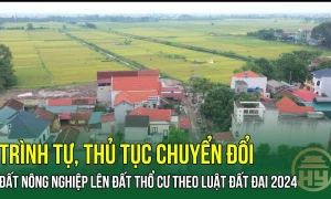 Chuyển đổi đất nông nghiệp sang đất thổ cư theo quy định của Luật Đất đai 2024? 