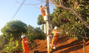 Công nhân công ty Điện lực Sơn La kiểm tra hệ thống lưới điện tại phường Mộc Lỵ, thị xã Mộc Châu. Ảnh: NPC