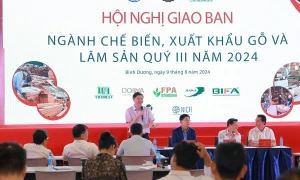  Nhiều kết quả từ phát triển rừng, chế biến, xuất khẩu lâm sản