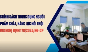 Chính sách trọng dụng người có phẩm chất năng lực nổi trội đối với cán bộ công chức viên chức theo Nghị định 178?