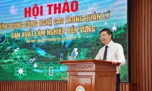 Ứng dụng công nghệ cao trong quản lý sản xuất lâm nghiệp bền vững là một trong những nội dung được Cục Lâm nghiệp quan tâm hàng đầu. Ảnh: CLN