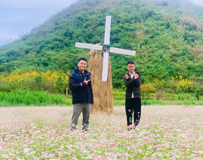 Các vườn hoa Tam giác mạch tạo nhiều tiểu cảnh, điểm nhấn làm cho vườn hoa Tam giác mạch trở nên thơ mộng hơn anh-6-cac-vuon-hoa-tam-giac-mach-tao-nhieu-tieu-canh-tao-diem-nhan-cho-vuon-hoa-tam-giac-mach.jpg