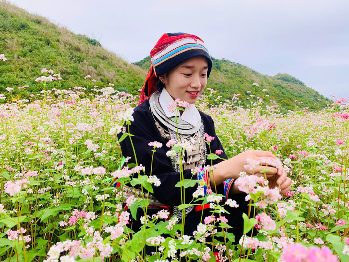 Những cô gái trong trang phục truyền thống dân tộc Dao lưu giữ khoảnh khắc đẹp bên cánh đồng hoa Tam giác mạch anh-2b-nhung-co-gai-trong-trang-phuc-truyen-thong-dan-toc-dao-luu-giu-khoanh-khac-dep-ben-loai-hoa-yeu-dieu-mang-ten-tam-giac-mach.jpg