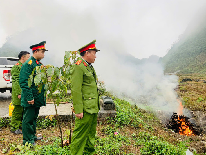 Việc tiêu huỷ được thực hiện dưới sự chứng kiến của các lực lượng 57b50e484c3cf262ab2d.jpg