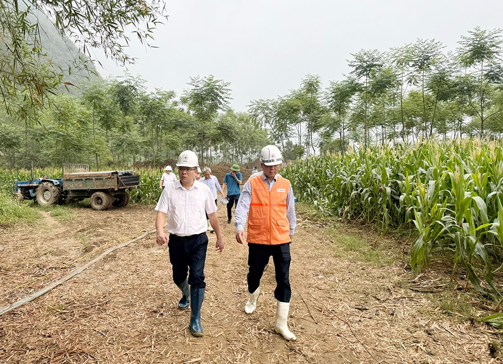 Phó Tổng giám đốc EVN Phạm Hồng Phương (hàng đầu, bên trái) kiểm tra thực tế thi công dự án. Ảnh: EVN 29425dz2-20250429121041912.jpg