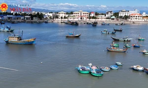 Làng chài Phú Hài tất bật đón Tết 