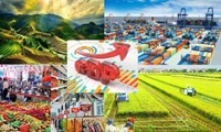 Việt Nam hoàn toàn có khả năng đạt mục tiêu tăng trưởng GDP 8%