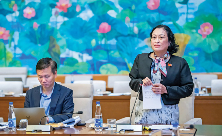 Phó Chủ tịch Hội đồng Dân tộc Trần Thị Hoa Ry phát biểu tại phiên họp Phó Chủ tịch Hội đồng Dân tộc Trần Thị Hoa Ry phát biểu tại phiên họp