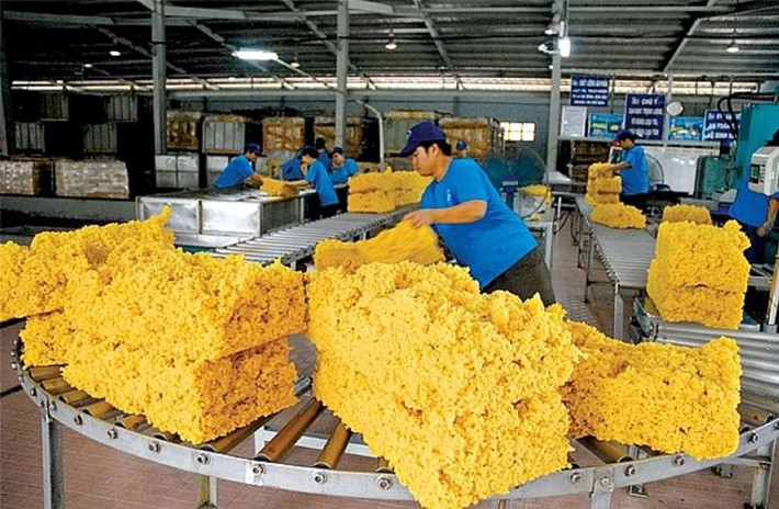 Xuất khẩu cao su cả năm 2024 dự báo sẽ đạt khoảng 3-3,5 tỷ USD; tăng 200-400 triệu USD so với năm 2023. Nguồn:ITN a2-1664866453.jpg