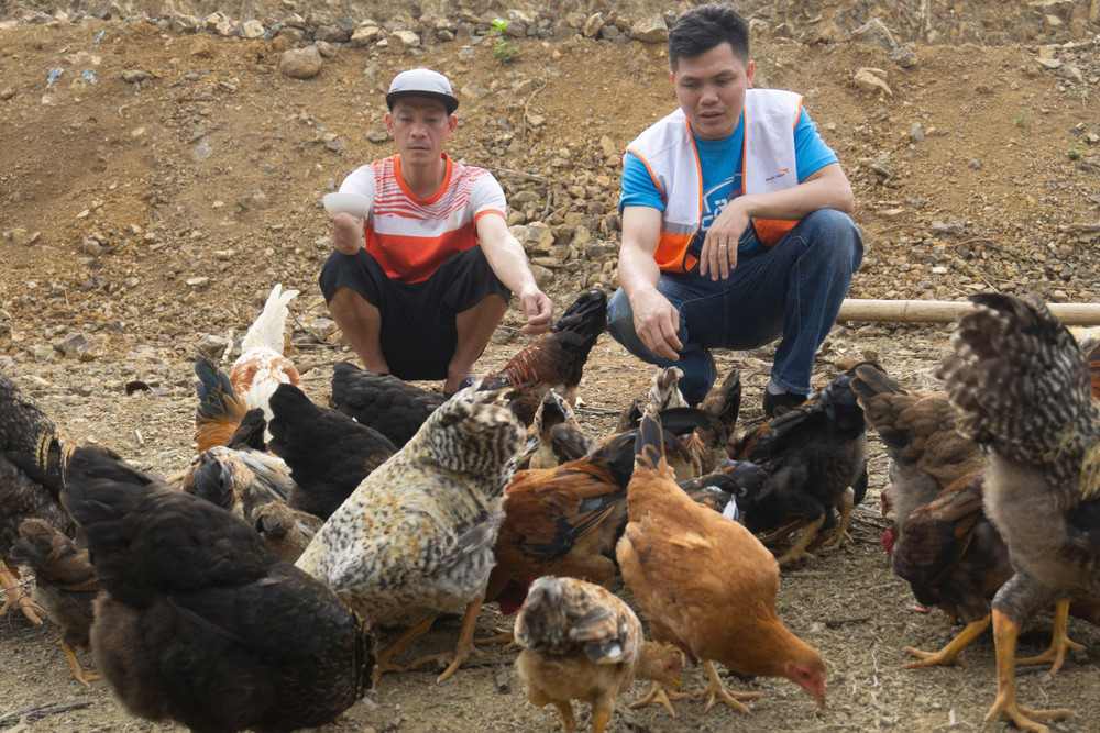 Anh L. V. Cường được hỗ trợ gà giống và tập huấn cách làm men vi sinh. (Ảnh: WVIV) 7b776f8d16c1a49ffdd0.jpg