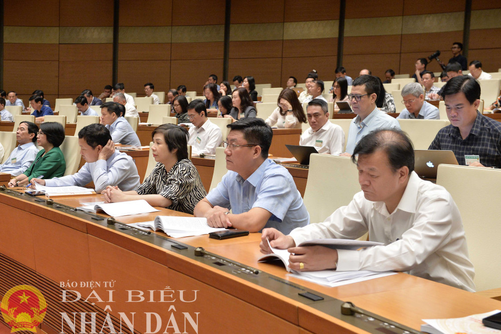 Các đại biểu dự hội nghị. Ảnh: Hồ Long Các đại biểu dự hội nghị. Ảnh: Hồ Long