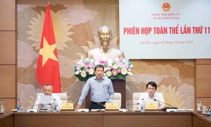 Ủy ban Đối ngoại họp Phiên toàn thể lần thứ 11