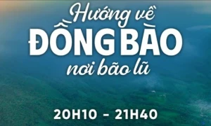 Toàn cảnh mưa lũ tại miền Bắc trong 3 chương trình đặc biệt trên sóng VTV