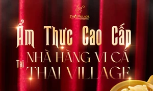 Ẩm Thực Cao Cấp Tại Nhà Hàng Vi Cá Thai Village 