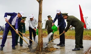 Quảng Bình hoàn thành trồng hơn 2,1 triệu cây xanh