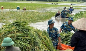 Ưu tiên hàng đầu là khôi phục sản xuất sau bão. Nguồn: ITN