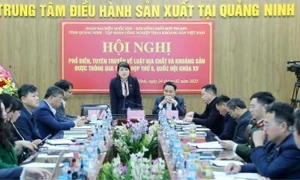 Quang cảnh hội nghị