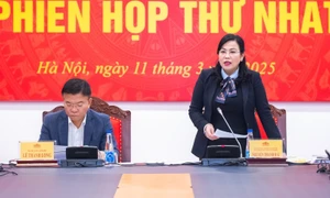 Chủ nhiệm Ủy ban Công tác đại biểu, Phó Trưởng Ban Tổ chức Trung ương Nguyễn Thanh Hải, Phó Trưởng Ban Thường trực Ban Chỉ đạo phát biểu tại phiên họp