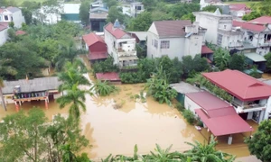 Ứng phó bằng giải pháp, chiến lược nào?