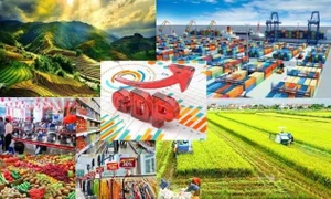 Việt Nam hoàn toàn có khả năng đạt mục tiêu tăng trưởng GDP 8%