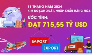 Tổng kim ngạch xuất, nhập khẩu hàng hóa 11 tháng năm 2024 tăng 15,4%