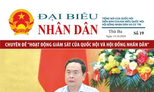 Ấn phẩm số 19 Giám sát của Quốc hội và Hội đồng nhân dân phát hành ngày 15/10/2024