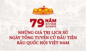 Những giá trị lịch sử Ngày Tổng tuyển cử đầu tiên bầu Quốc hội Việt Nam 