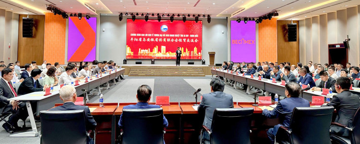 Bình Dương tăng cường kết nối với các thị trường tiềm năng pho-24-9.jpg