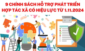 9 chính sách hỗ trợ phát triển hợp tác xã có hiệu lực từ tháng 11.2024