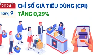 Chỉ số giá tiêu dùng (CPI) tháng 9 năm 2024 tăng 0,29%