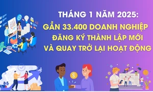 Hơn 33,4 nghìn doanh nghiệp thành lập mới và quay trở lại hoạt động trong tháng 1