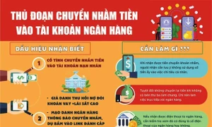 Cảnh báo lừa đảo chuyển nhầm tiền và cách xử lý đúng