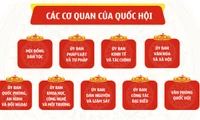 Cơ cấu tổ chức và nhân sự các cơ quan của Quốc hội Khóa XV