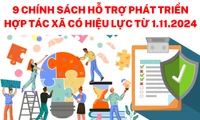 9 chính sách hỗ trợ phát triển hợp tác xã có hiệu lực từ tháng 11.2024