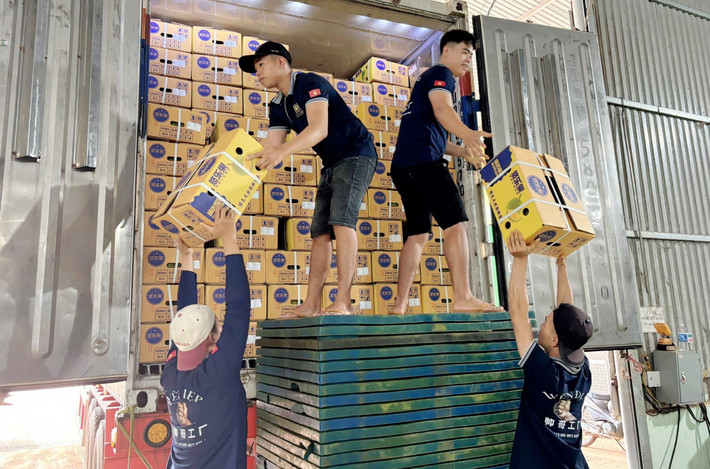 Nhức nhối doanh nghiệp sầu riêng Đắk Lắk dán mã đóng gói sầu riêng TP. HCM để xuất khẩu -0