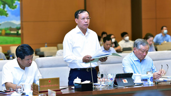 Cần làm rõ phạm vi điều chỉnh và các đối tượng vi phạm ảnh 2 Cần làm rõ phạm vi điều chỉnh và các đối tượng vi phạm