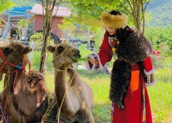 Hoá trang thành cô gái Mông Cổ chụp ảnh cùng lạc đà Du lịch ở khu tham quan Điện mặt trời An Hảo dịp Lễ Quốc khánh 2.9