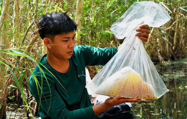 Nghề ăn ong của người dân U Minh hạ ngày càng được nhiều người biết đến Nguồn: ITN Nghề ăn ong của người dân U Minh hạ ngày càng được nhiều người biết đến