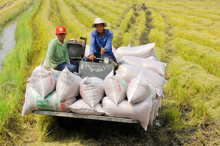 Nhiều HTX phát triển chuyên canh, chế biến, tiêu thụ sản phẩm theo mô hình chuỗi giá trị Phát triển kinh tế tập thể bằng nội lực và cách làm sáng tạo -0