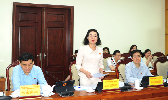Phó Chủ nhiệm Ủy ban Tư pháp Mai Thị Phương Hoa phát biểu Đoàn giám sát của Ủy ban Thường vụ Quốc hội về đơn vị sự nghiệp công lập làm việc với UBND tỉnh Thái Nguyên -0