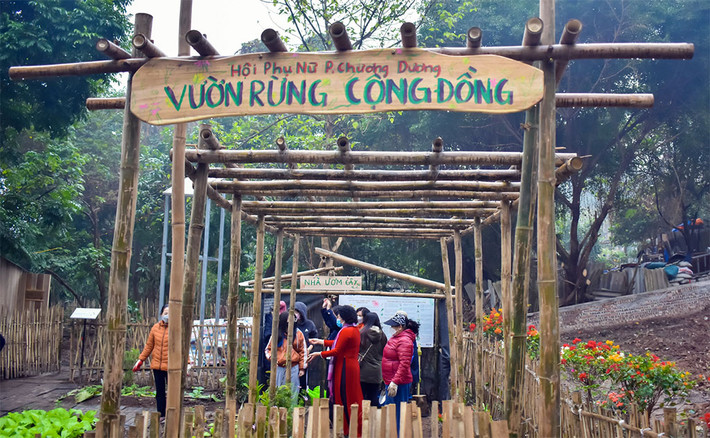 Không gian Vườn rừng cộng đồng ở bờ vở sông Hồng. Không gian Vườn rừng cộng đồng ở bờ vở sông Hồng.