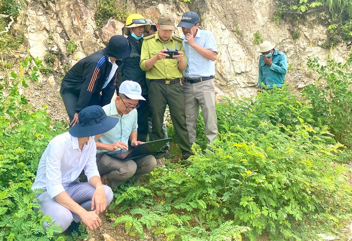 Cán bộ Quỹ Bảo vệ và Phát triển rừng tỉnh Gia Lai kiểm tra thực địa. Ảnh: CLN Chuyển biến tích cực trong hoạt động bảo vệ và phát triển rừng -0
