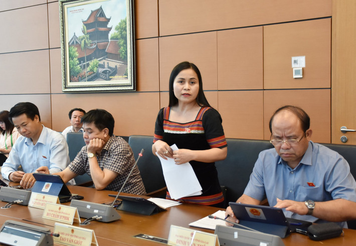 ĐBQH Rơ Châm H'Phik (Gia Lai) phát biểu Sớm có những giải pháp căn cơ để sớm tháo gỡ những khó khăn -0