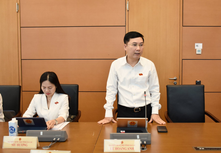 ĐBQH Lê Hoàng Anh (Gia Lai) phát biểu Sớm có những giải pháp căn cơ để sớm tháo gỡ những khó khăn -0
