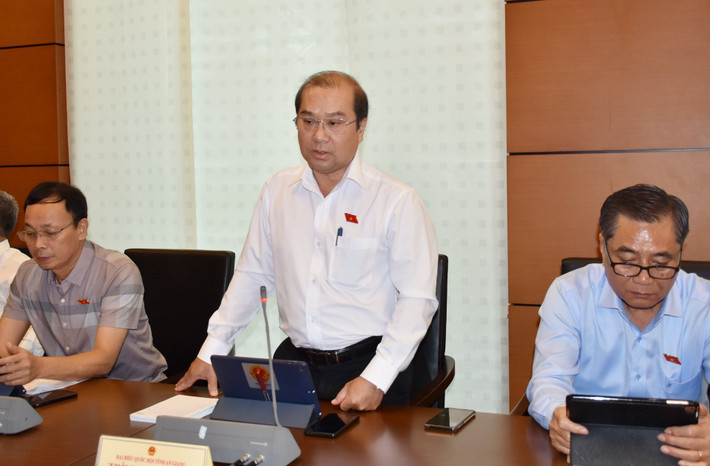 ĐBQH Trình Lam Sinh (An Giang) phát biểu Sớm có những giải pháp căn cơ để sớm tháo gỡ những khó khăn -0