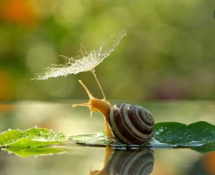 Nguồn: ITN Nguồn: ITN