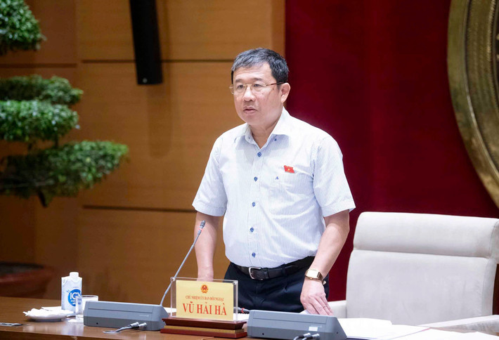 Chủ nhiệm Ủy ban Đối ngoại Vũ Hải Hà phát biểu Chủ nhiệm Ủy ban Đối ngoại Vũ Hải Hà phát biểu