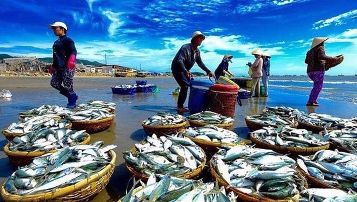 Phân bổ lại không gian bảo tồn, bảo vệ, khai thác thủy sản ảnh 1 Bảo đảm tính khả thi triển khai Quy hoạch bảo vệ và khai thác nguồn lợi thuỷ sản